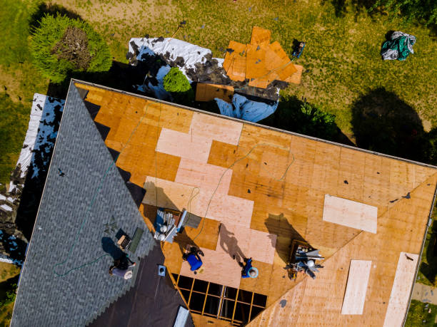 Best Roof Leak Repair  in Terrace Heights, WA