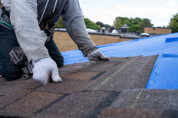 Best Gutter Installation and Roofing  in Terrace Heights, WA