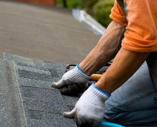 Best Roof Leak Repair  in Terrace Heights, WA