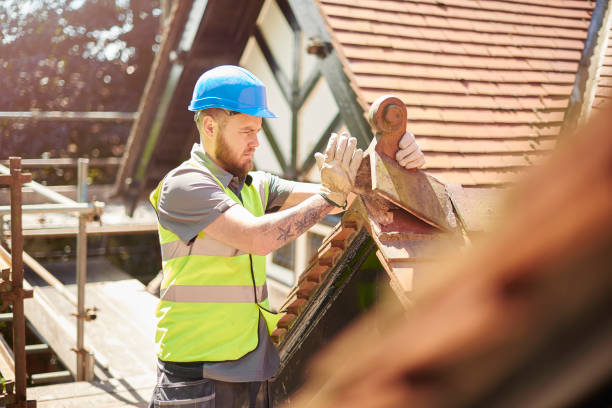 Best Roof Repair Specialists  in Terrace Heights, WA