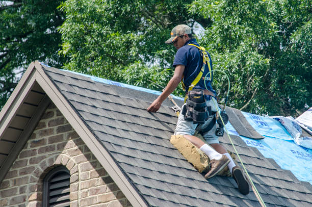 Best Metal Roofing Contractor  in Terrace Heights, WA